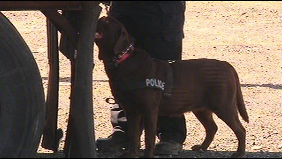 Its a Early Retirement for Two Yakima K9 Drug Officers