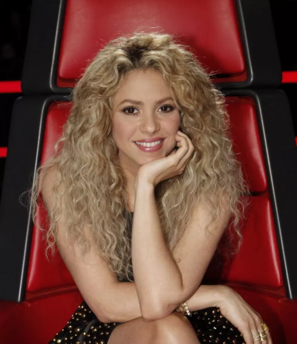 Shakira&#8217;s Past Was Not Without Platinum Problems &#8212; Dave&#8217;s Diary