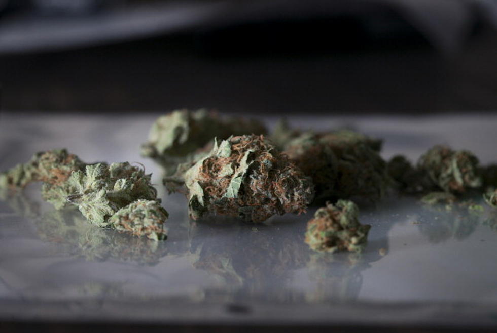 Hearing Held to Overhaul States Medical Marijuana Law