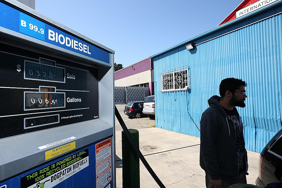 Congress Examining New Trade Bill, Tax Incentives for Biodiesel