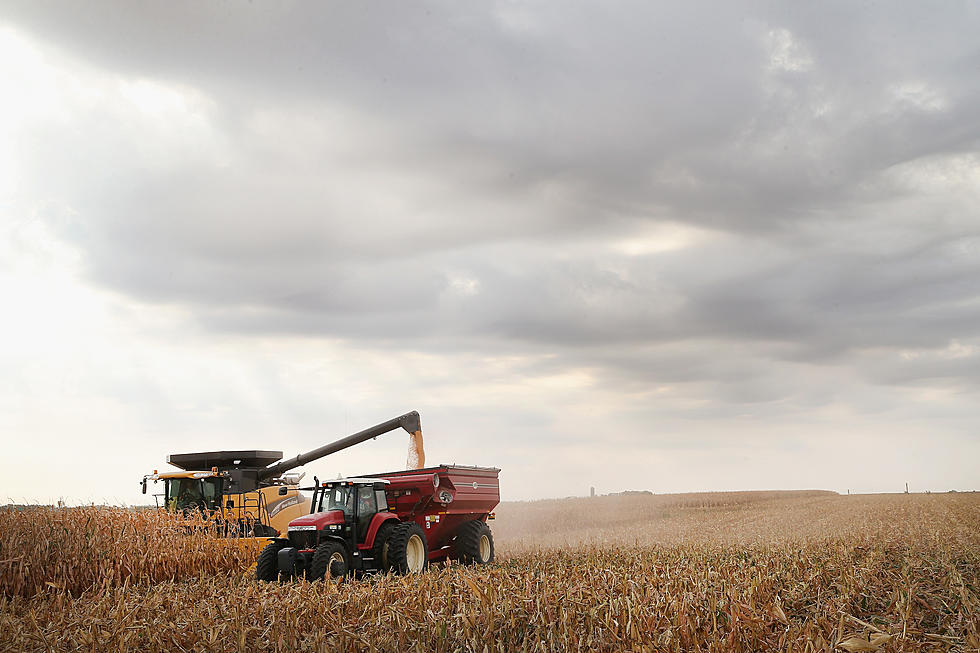 Funding Socially Disadvantaged Farmers, Record Setting Cattle Numbers