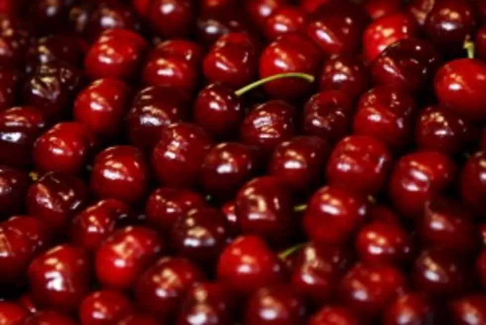 Cherry Growers Happy With Huge Crop