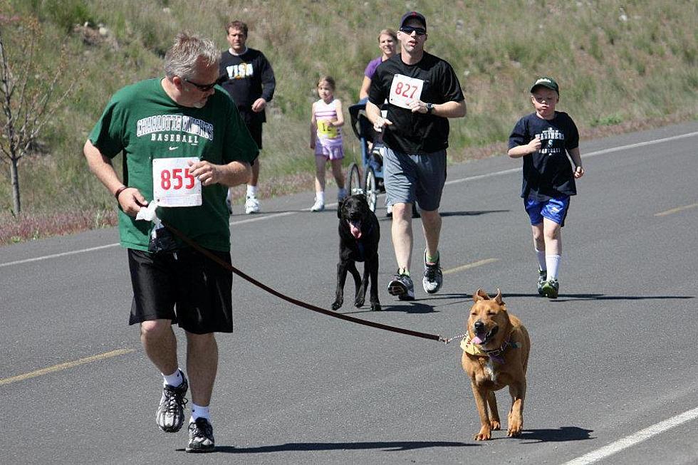 Humane Society’s Annual Fun Run and Doggie Dash Happening in April