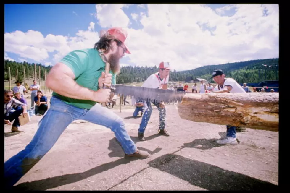 Lumberjack: Worst of the Worst Jobs in the Country &#8212; Dave&#8217;s Diary