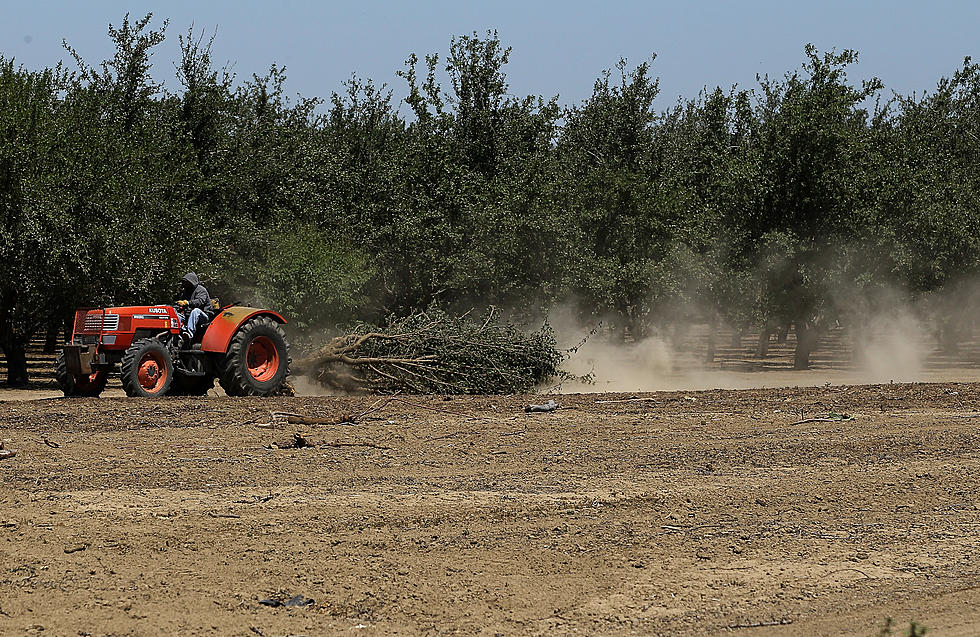 Northwest Farmers Eligible for Help with Drought, Pressure on Japan Negotiations