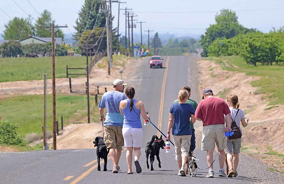 Dog and Wine Walk and Cop Run Helping Charity, More Briefs
