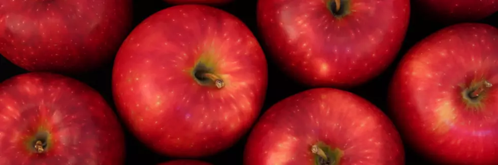 New Apple Developed by WSU