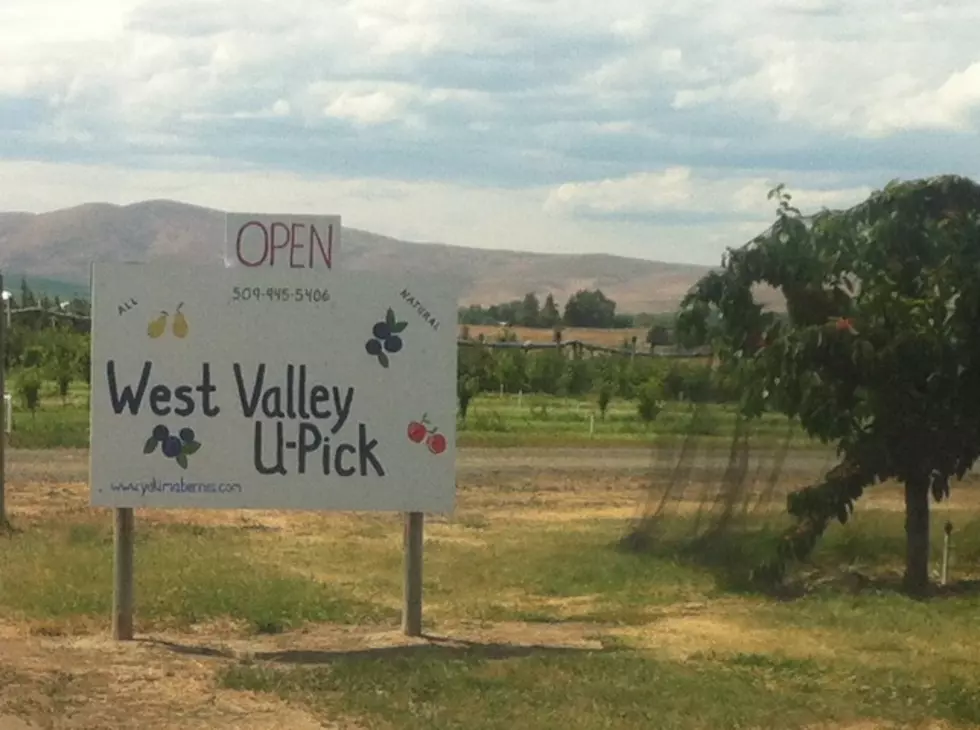 State Allows Some Agritourism in Yakima Valley