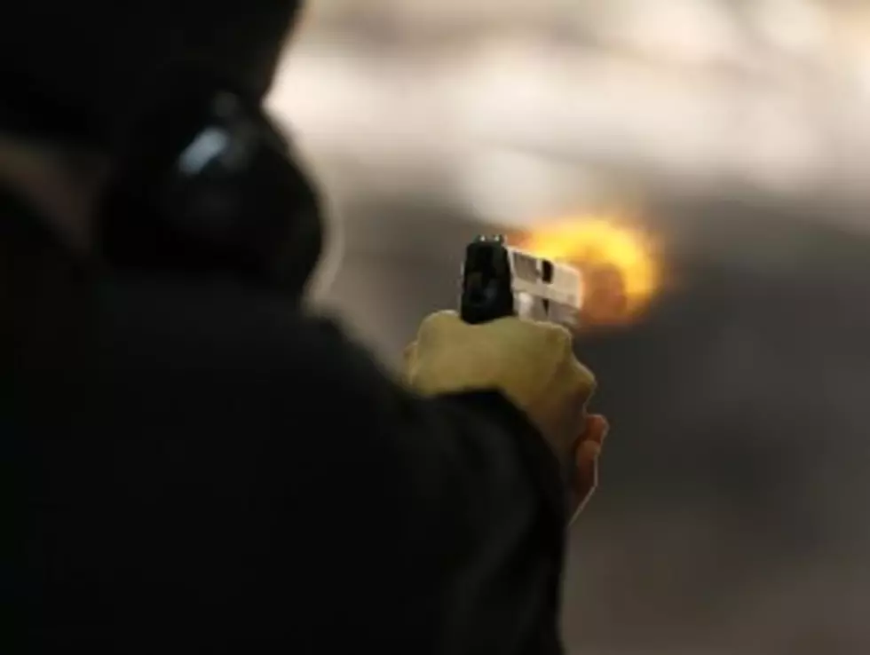 School Shooting Triggers Gun Bill In Legislature