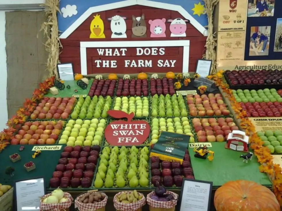 The Central Washington State Fair Is A Go&#8230;For Now!