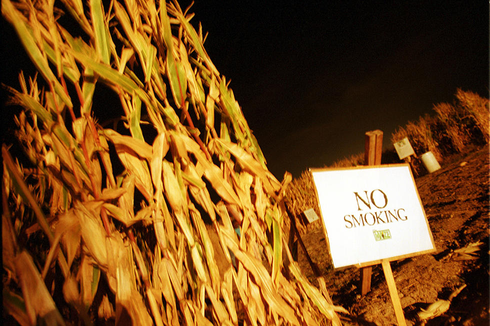 Teen Dies in Idaho Corn Maze