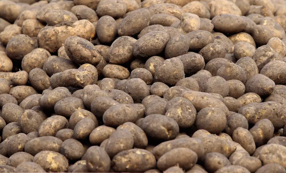 Potato Production Up in Washington, Snow Should End Apple Crop