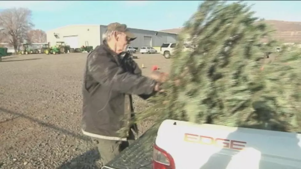 Donating Christmas Trees to Help Camp Primetime