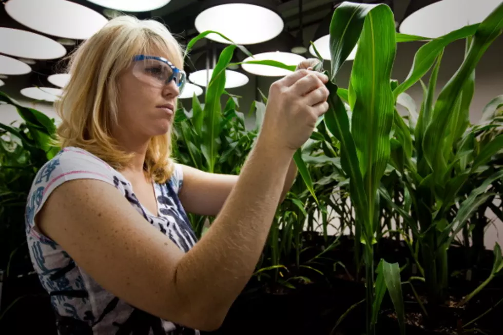 A Lot of Work to do on GMO Labeling; Farmers Reducing Their Carbon Footprint