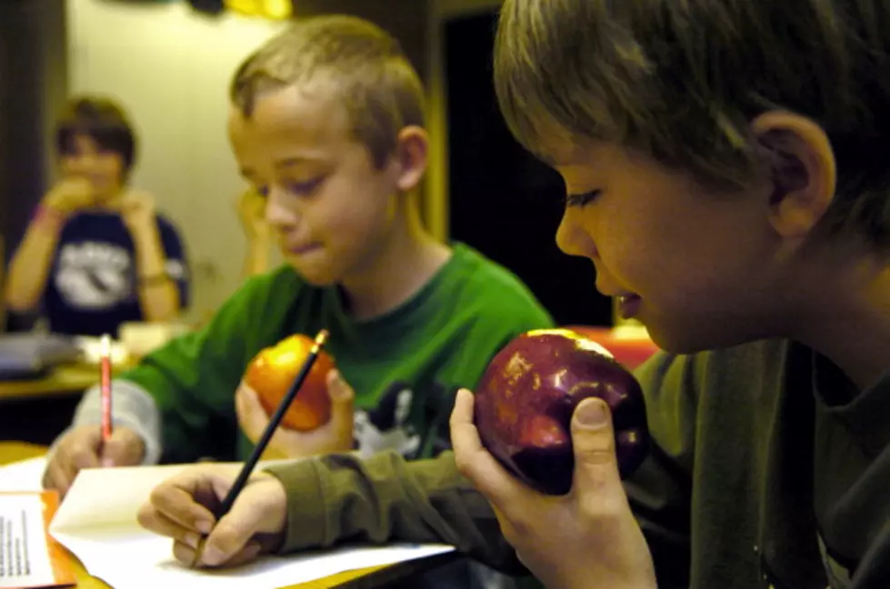 Buy A Box Of Madison House Apples And Help Kids Build A Future