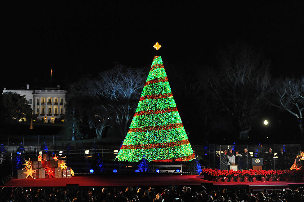 Capitol Tree Has Made it to Washington D.C.