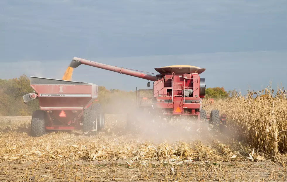 Dow/Dupont Merger Final This Month; Corn/Soy Outlook Lower