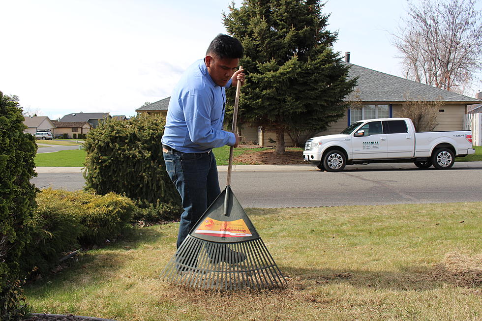 Springtime is Prep Time for Your Yard [VIDEO]