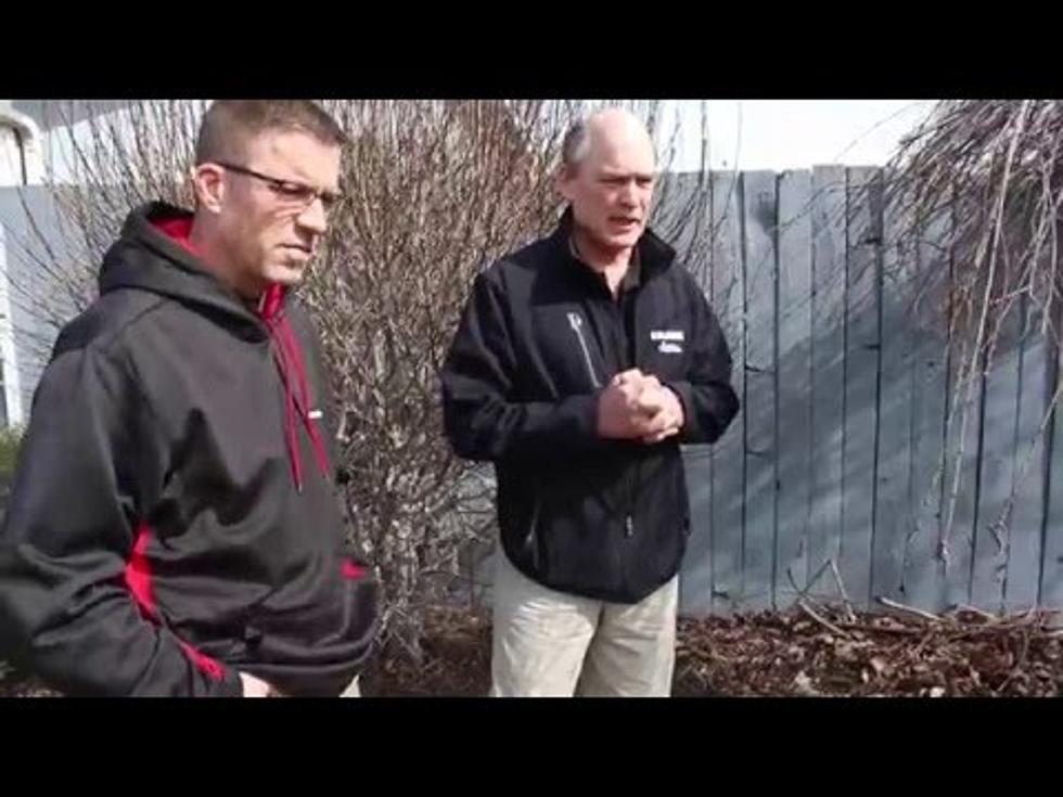 Spring Pruning Tips for the Yakima Valley [VIDEO]