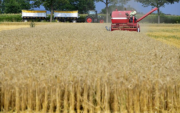 Ag News: Wheat Profitability Projects Approved