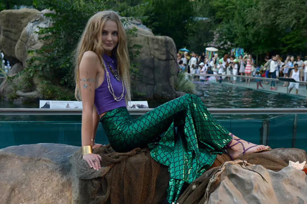 Seattle Becoming A Hangout For Man-Made Mermaids