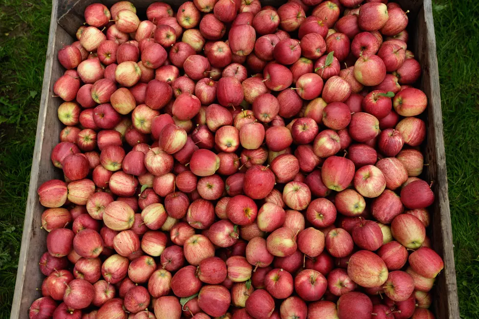 Apples Most Consumed Fruit and SCOTUS Rejects Prop 12 Challenge