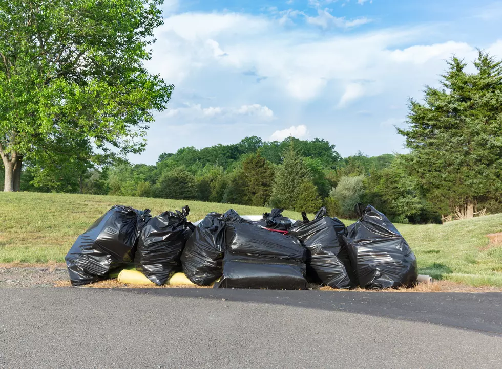Trash Trashing Roads in Washington Teens Hired To Clean It Up
