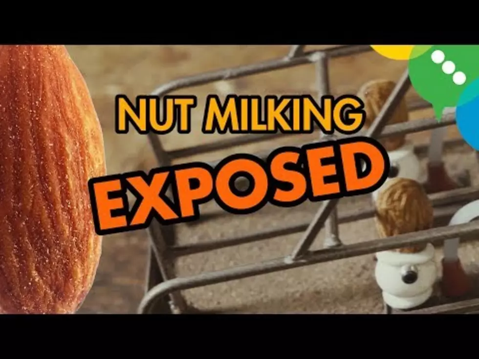 Ag News: Almond Milk Video