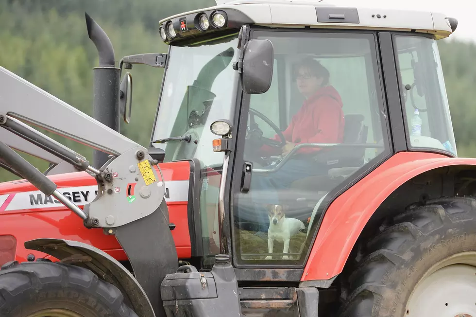 Ag News: Women Ag Earners