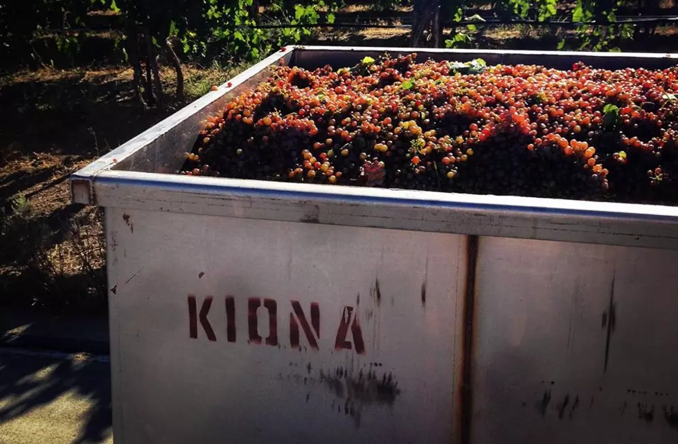 Red Mountain Kiona Winery Featured In Forbes Magazine