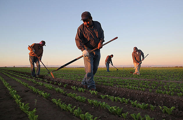Ag News: California Labor Shortage