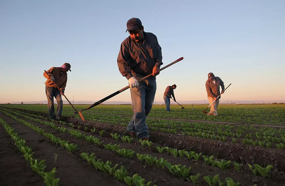 Farm Workforce Modernization Act Reintroduced & New Strain of ASF
