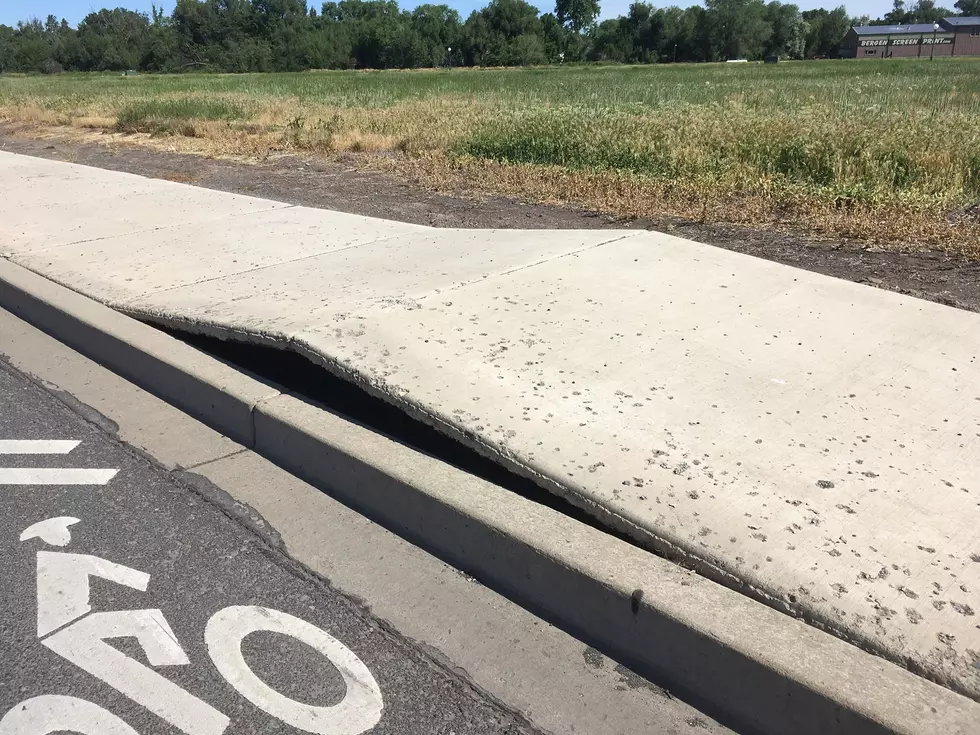 City Crews Fixing Sidewalks Lifting in Spring Heat