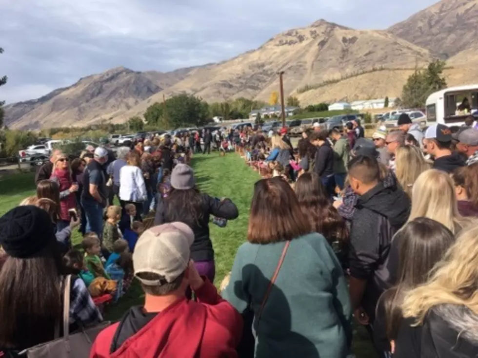 Hundreds Find Fall Fun in The Yakima Valley 