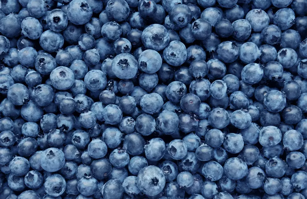 Blueberry Crop Looks Great and Farm Bill Markup Moves Forward