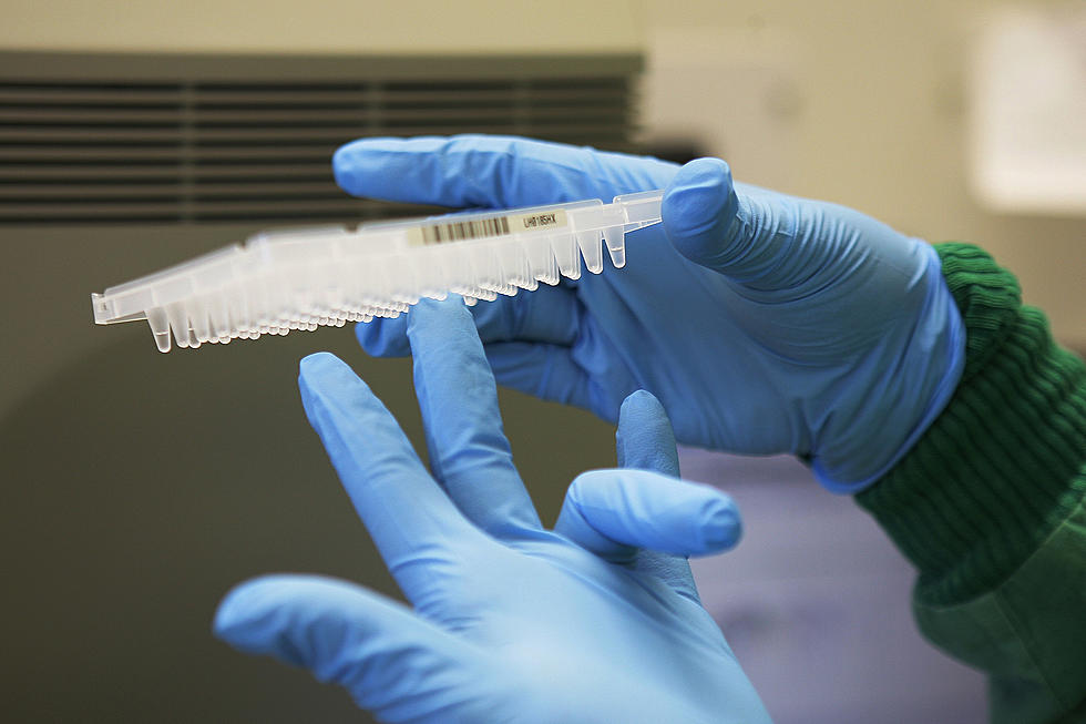 Test Results Negative No Coronavirus in Yakima County
