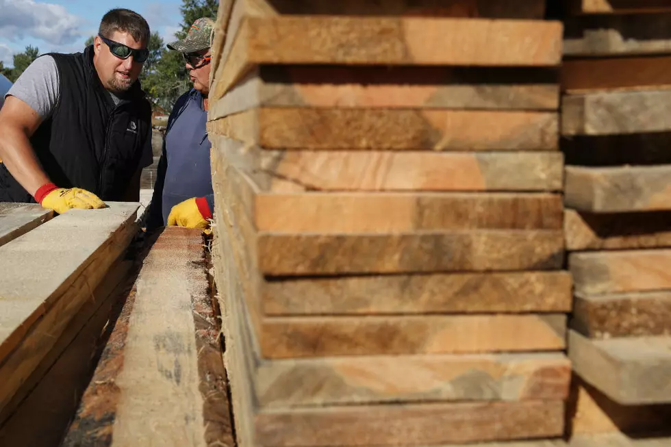 Ag News: Timber Sales in Pandemic and Pork-Beef Exports Up