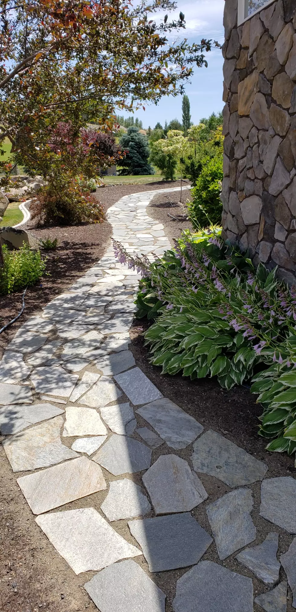 OMG Landscaping and Design