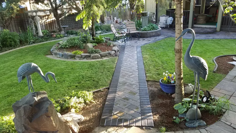 OMG Landscaping and Design