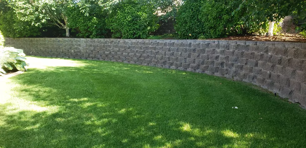 OMG Landscaping