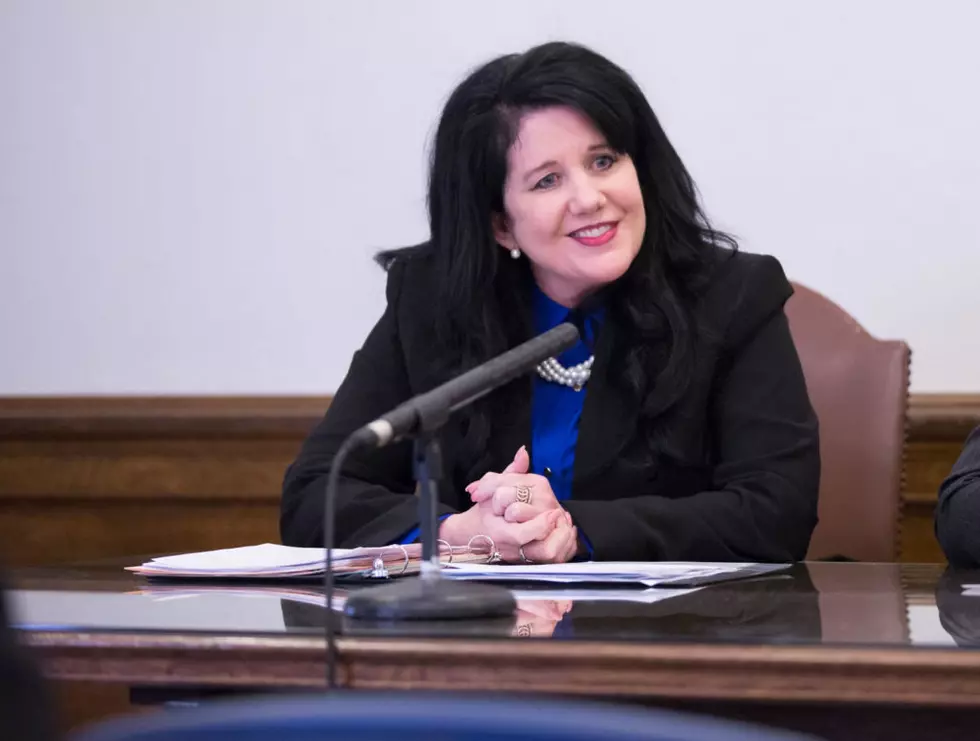Success In The Minority-WA Rep.Gina Mosbrucker Always Finds A Way