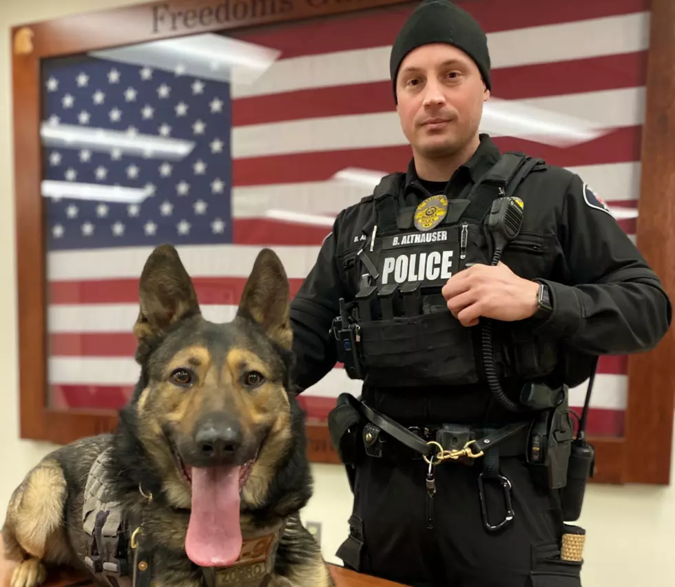 New K9 Non-Profit Created To Support County K9 Programs