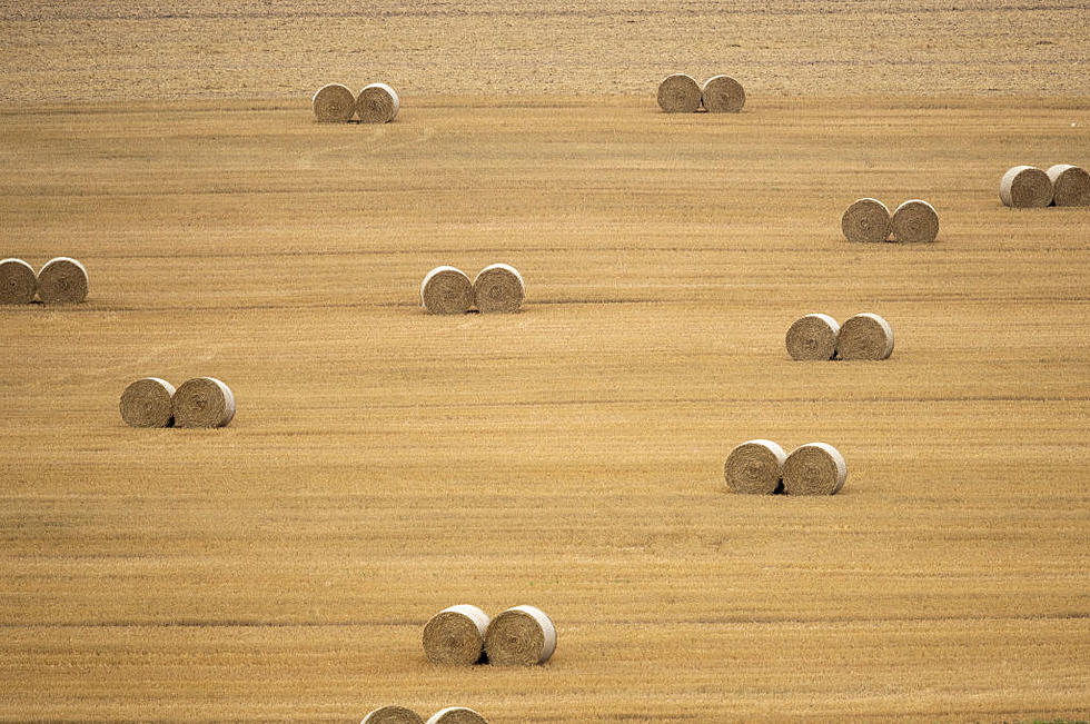 Ag News: Drought and Hay Prices and Aging Water Infrastructure
