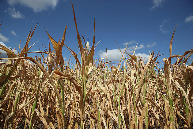 Global Food Crisis Coming and Changes to GHG Modeling for Biofuels