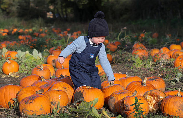 Federal Assistance for Ag Borrowers and U.S. Pumpkin Production