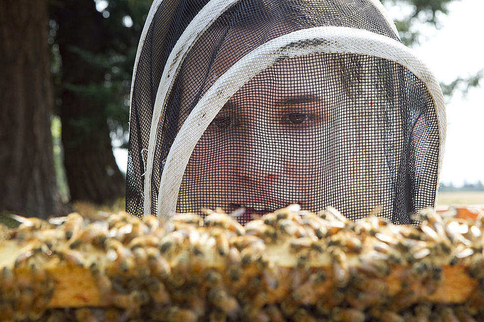Ag News: OSU Animal Disease Grants & Honeybee Colony Numbers Rise
