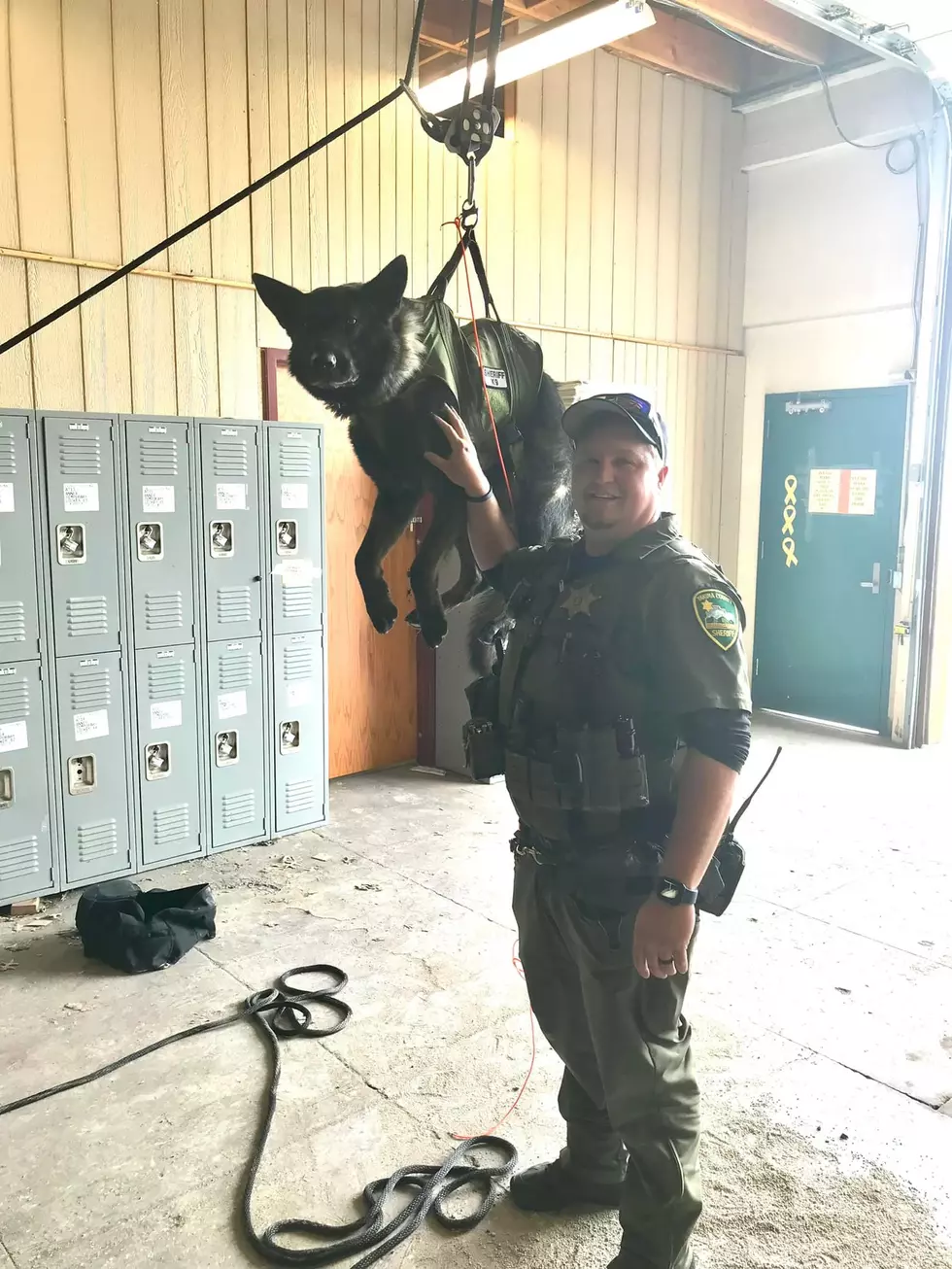 Yakima’s K9 Officers Get Big Boost To Find Bad Guys