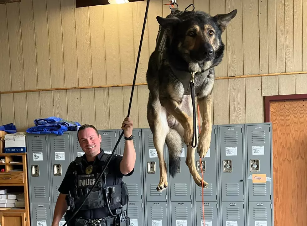 Yakima&#8217;s K9 Officers Get Big Boost To Find Bad Guys