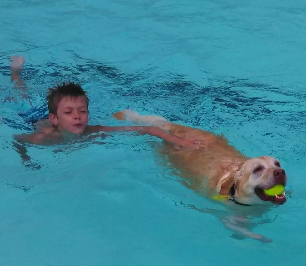 Paws in the Pool Event Set For Sunday in Yakima