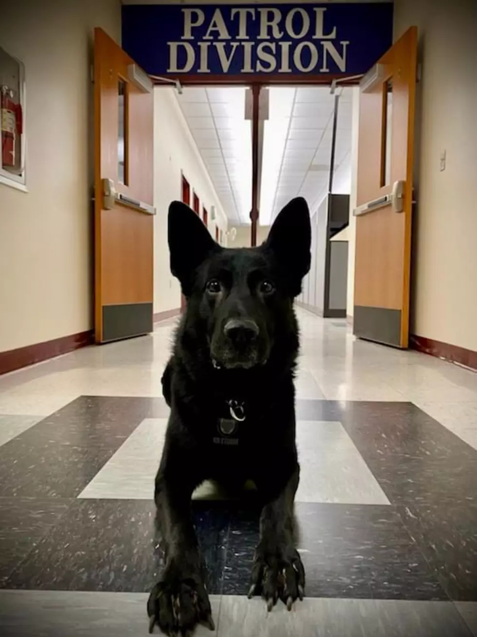 Yakima Police K9 Trex Loses Fight Against Sickness